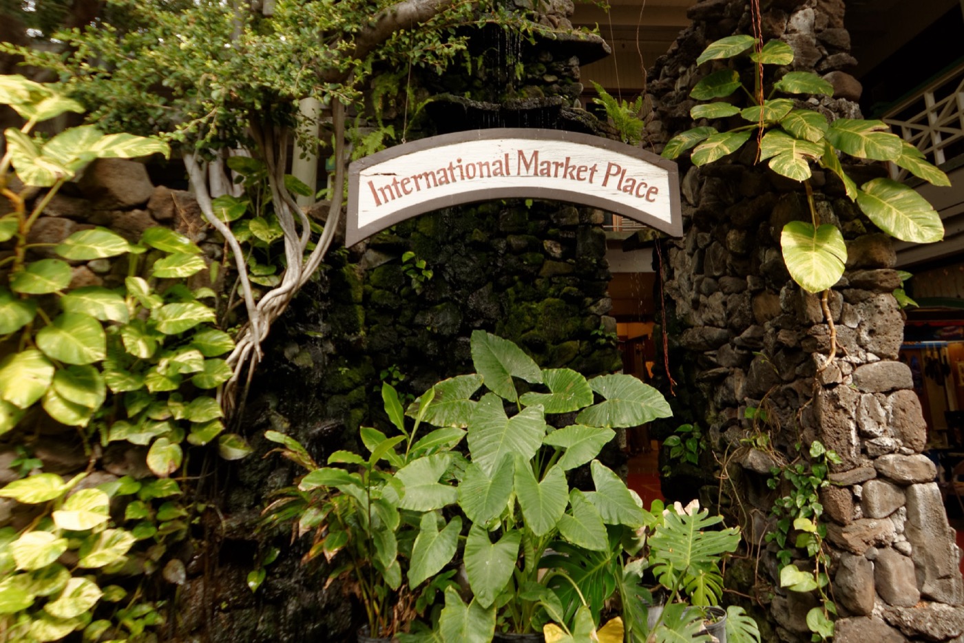 International Market Place open-air courtyard with banyan tree centerpiece in Waikiki