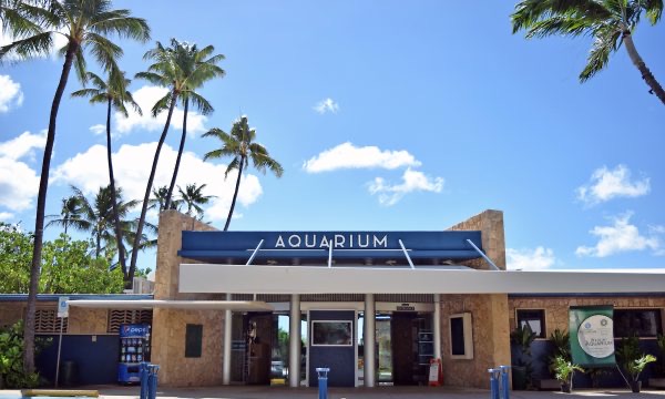 Front entrance of the Waikiki Aquarium with tropical landscaping along Kalakaua Avenue.